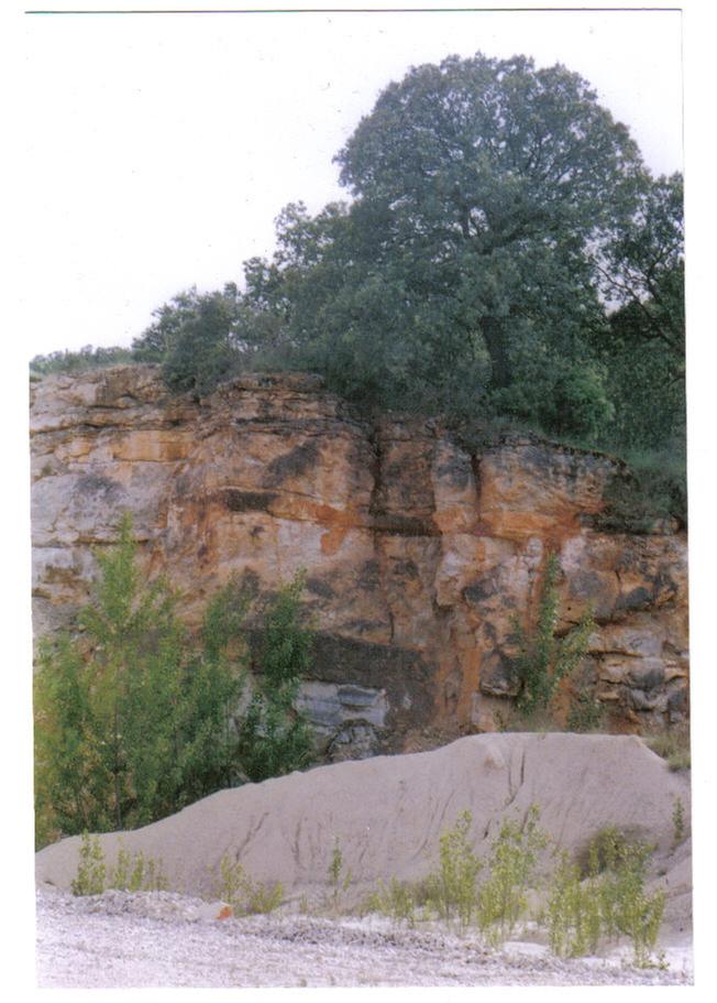 [Thumbnail for roots 2.jpg]